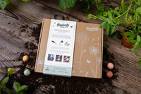 Giftbox Blossombs wilde bloemzaden box à 9 zaadbommetjes-1