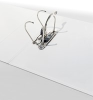 Ordner Leitz 4225 panorama 180° 80mm PP A4 maxi 3tas wit-3