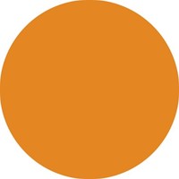 Fineliner STABILO point 88/54 fijn oranje-3