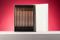 Grafietpotlood Bruynzeel Design met luxe bewaardoos 12 hardheden grijs-1