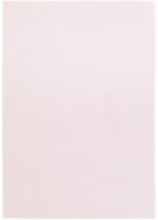 Kopieerpapier Papicolor A4 100gr 12 vel lichtroze-2