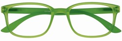 Leesbril I Need You +3.00 dtp Rainbow groen