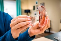 Secondelijm Loctite Control tube 3 gram op blister-1