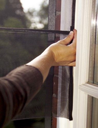 Insectenhor tesa® Insect Stop STANDARD deur 2x 0,65x2,20m antraciet-3