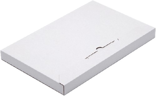 Brievenbusbox A4 350x230x28mm karton wit, pak a 50 stuks