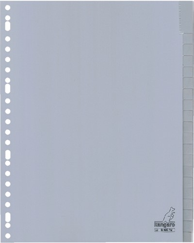 Tabbladen Kangaro 23-gaats G420FM 20-delig+venster grijs PP