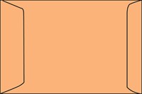 Envelop IEZZY akte 230x310mm zelfklevend 90gr bruin 250 stuks-2