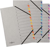 Sorteermap Pagna Easy A4 12 tabs lichtblauw/donkerblauw-2