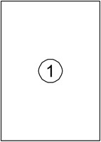 Etiket Quantore 210x297mm 100 stuks