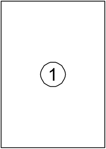 Etiket Avery DP001 210x297 wit 100 stuks-2