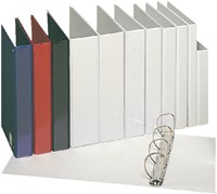 Presentatieringband Esselte panorama A4 4-rings D-mechaniek 25mm PP wit-2