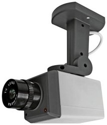 Nepcamera